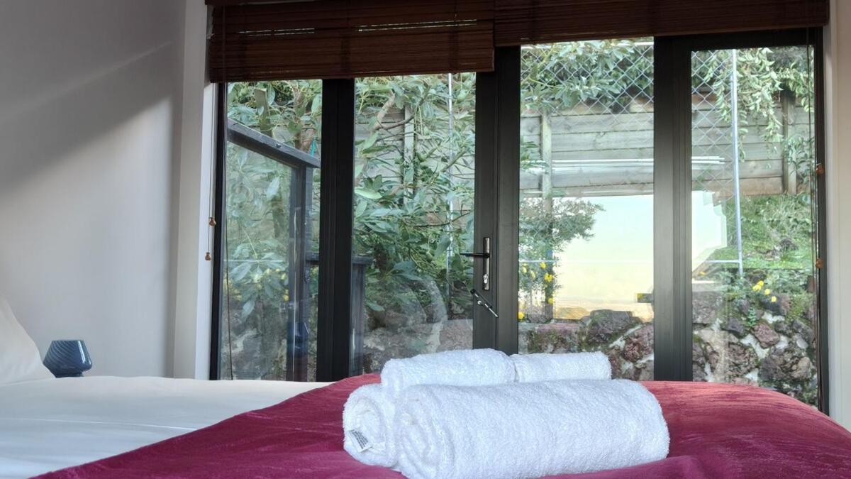 Villa Hidden Oasis In Epsom With Panoramic View Auckland Exterior foto